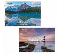 Альбом 40л скоба BRAUBERG 106704 Nature
