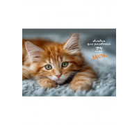 Альбом 24л КБС Проф-Пресс КОТИК (24-2413)