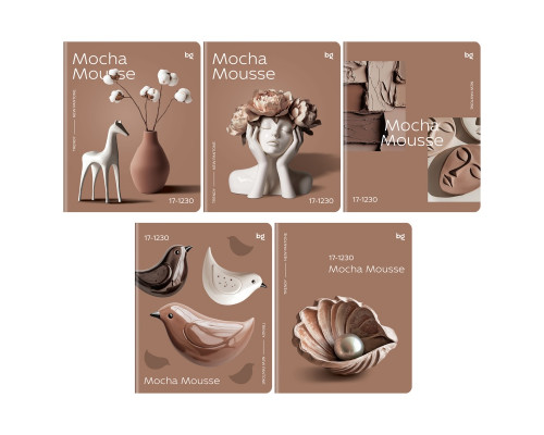 Тетрадь В5 48л # офс. цв. обл. БиДжи 57636 Mocha mousse (382153) soft-touch