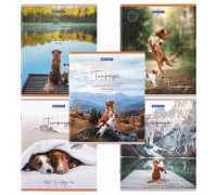 Тетрадь В5 48л # офс. цв. обл. BRAUBERG 404360 Best Friends