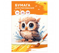 Папка для рисования А4 10л 120г/м2 БиДжи _58064 (365255) Сова