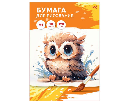 Папка для рисования А4 10л 120г/м2 БиДжи _58064 (365255) Сова