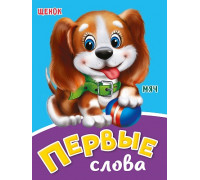Картонка ЦК мини А6 Проф-Пресс ПЕРВЫЕ СЛОВА