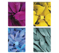 Блокнот А5 пружина 80л BRAUBERG 114372 Яркие листья