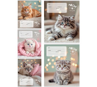 Тетрадь В5 12л # офс. цв. обл. Проф-Пресс (12-0824) УЮТНЫЕ КОТИКИ-6