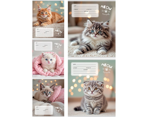 Тетрадь В5 12л # офс. цв. обл. Проф-Пресс (12-0824) УЮТНЫЕ КОТИКИ-6
