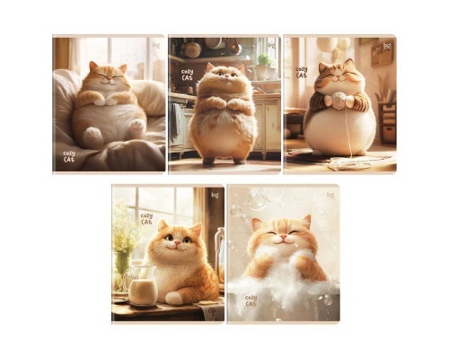 Тетрадь В5 48л # офс. цв. обл. БиДжи 57629 Cozy cat (382146) лак