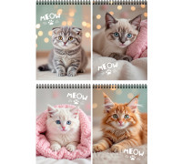 Блокнот А6 пружина 40л Проф-Пресс (40-0764) МИЛЫЕ КОТИКИ