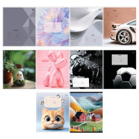 Тетрадь В5 12л # офс. цв. обл. БиДжи 62863 Микс -10 (390318) эконом
