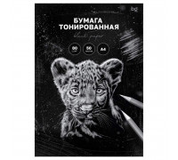 Бумага А4 50л 80гр/м2 БиДжи _59628 чёрная тонированная (367675)