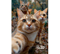Блокнот А5 переплёт 160л Проф-Пресс (160-1695) глянец/ламин ФОТОГРАФИЯ КОТИКОВ