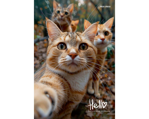 Блокнот А5 переплёт 160л Проф-Пресс (160-1695) глянец/ламин ФОТОГРАФИЯ КОТИКОВ