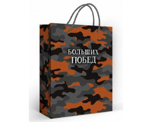 Пакет подарочный 18х23х10см (Горчаков ГК 10000790) Больших побед