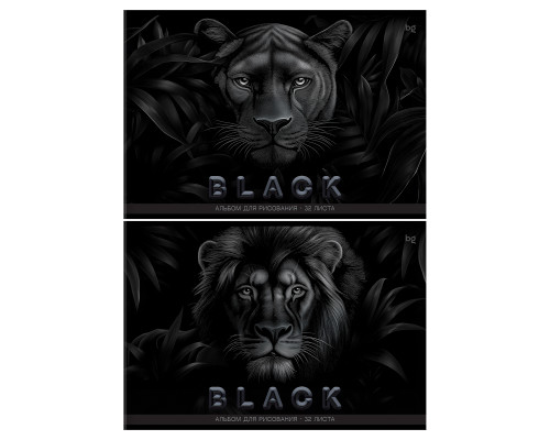 Альбом 32л пружина БиДжи 08613 Just black (378683) лак