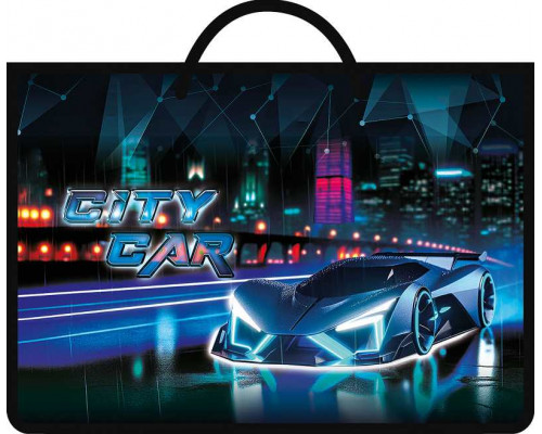 Папка А4 пластик (ручка-шнурок) ПЧЁЛКА (ПМ-А4-35) CITY CAR
