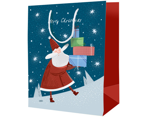 Пакет подарочный НГ 18х23х10см СПЕЙС _46160 Festive mood (340270) ...
