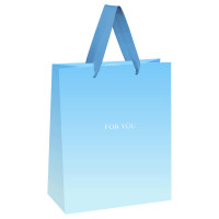 Пакет подарочный 11х14х6,5см MESHU 66223 For you. Blue (382364)